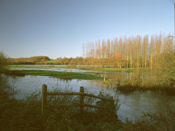 Floods - Sunny November